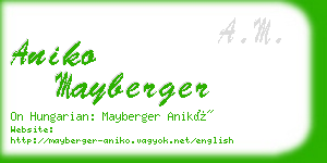 aniko mayberger business card